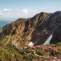 Тмп